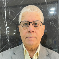 سلام تركيا وتجربة العراق